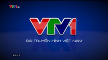 VTV1 (2014)(1)