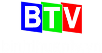 BTV trước 06-2013 có website