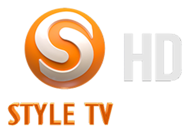 style network logo