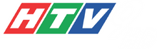 HTV9 HD logo 2013 4-3