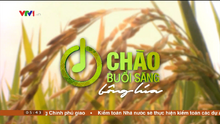 Chào buổi sáng bông lúa (2022)