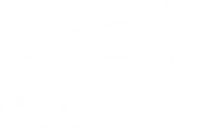 SCTV3 logo 2010