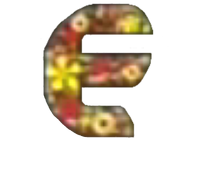 E Channel Tết 2016