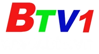 BTV1 logo 2014 (có website)