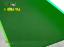 GTCT VTV2 trong ngày (2013)