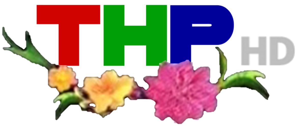 Đài PT-TH Hải Phòng/Logo Tết | Wikia Logos | Fandom