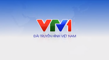 VTV1 (2015-2017, no logo)(2)