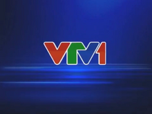 VTV1 ident 2014 (sau GTCT)