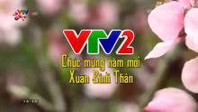 VTV2 ident Tet 2016