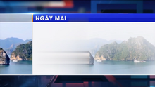 VTV1 Ngày mai 2023.3