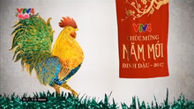 VTV4 (2017)(Tết đinh dậu)(2)