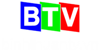 BTV logo 2013 có website