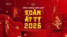 VTV ident Tết 2025 (V1) (no clock)