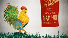 VTV ident Tết 2017 (V1 và V4)
