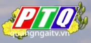 PTQ logo Tet 2025 có website