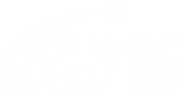 SCTV16 logo 2010 chính