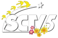 SCTV5 Tết 2022