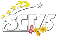 SCTV5 Tết 2022