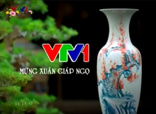 VTV1 (2014)(Tết giáp ngọ)(3)