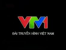 VTV1 (2010, no logo)