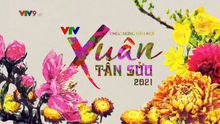 VTV ident Tết 2021 (V4.1)