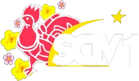SCTV1 Tết 2017