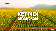Kết nối nông sản (2018)
