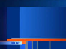 GTCT VTV1 trong ngày (2012)