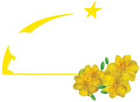 SCTV Tết 2016 và 2017 bản 2 (SCTV4 và SCTV7)