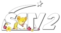 SCTV2 logo Tết 2020