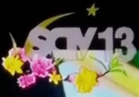 SCTV13 Tết 2017 bản 2