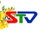 STV1/Logo Tết