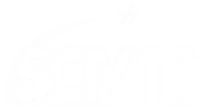Logo chính bản 2