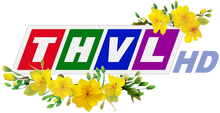 THVL HD logo Tet 2018, 2019, 2020