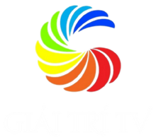 Giải trí TV logo 2013-2015