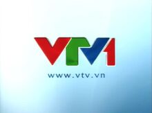 VTV1 (2010-2013)(4, no logo)