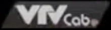 VTVcab logo 2013-2016