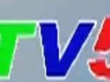 BTV5 (VTVcab)