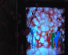 VTV4 ident Tết 2008 (2)