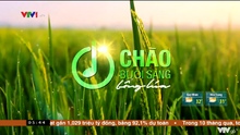 Chào buổi sáng bông lúa (2018-2022)