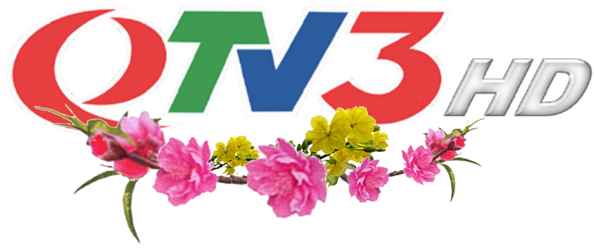 QTV3 HD/Logo Tết | Wikia Logos | Fandom