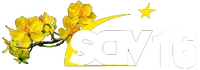 SCTV16 Tết 2014