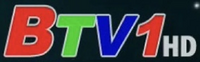 BTV1 HD logo 2018
