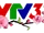 VTV3 HD/Logo Tết