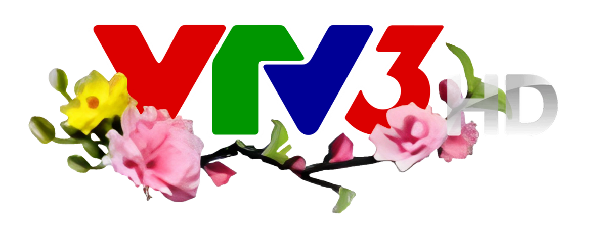 VTV3 HD/Logo Tết | Wikia Logos | Fandom