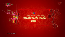 VTV4 (2018)(Tết mậu tuất)(2)