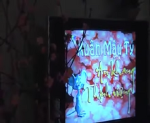 VTV4 ident Tết 2008
