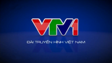 VTV1 (2014)(1, no logo)