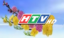HTV HD Tet 2015