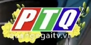 PTQ logo Tet 2023, 2024 có website